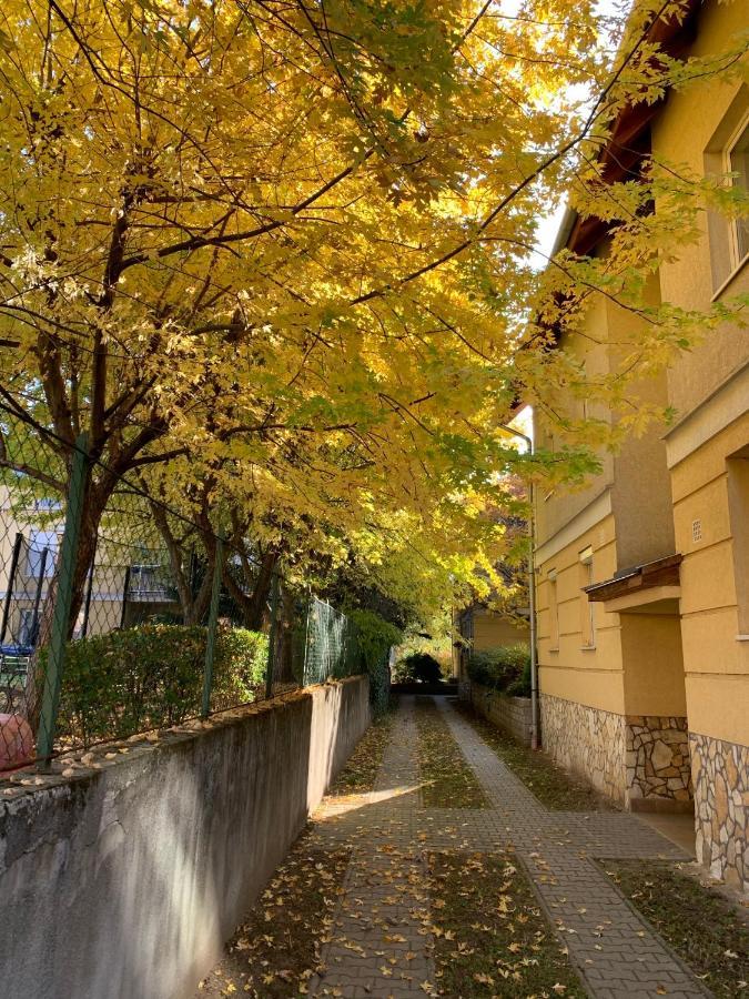 Langman Guesthouse Budapest Eksteriør billede